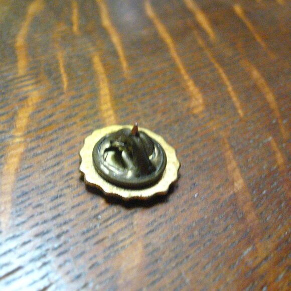 Retired New York City Employees Association Vintage Lapel Pin - Picture 3 of 4